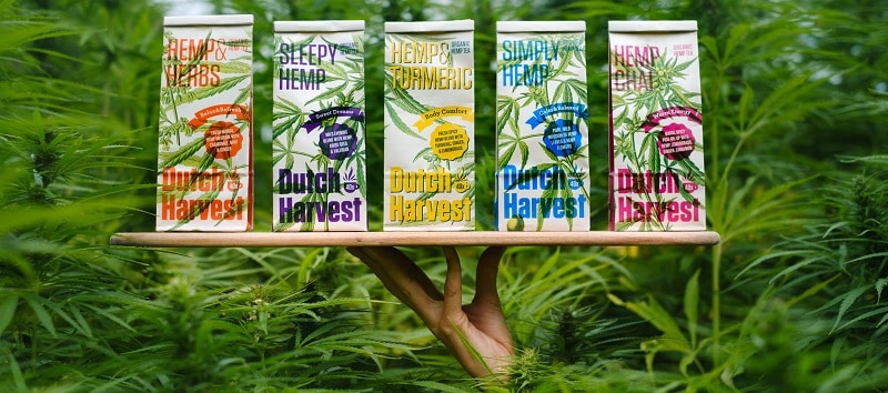 Hennepthee smaakjes van Dutch Harvest Hemptea